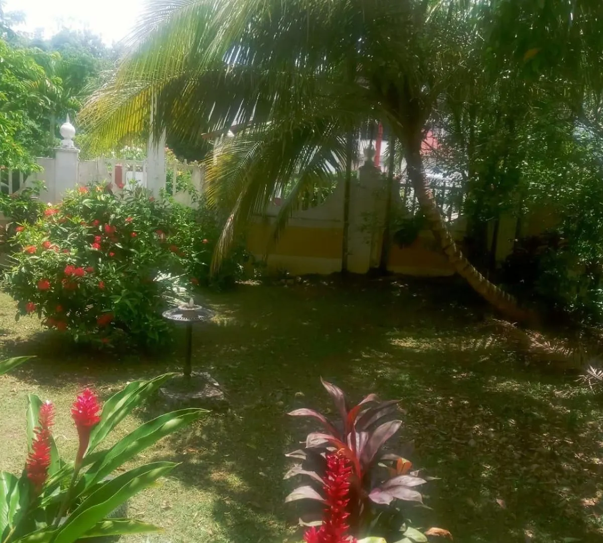 Mumatt'S Guesthouse Port Antonio Homestay