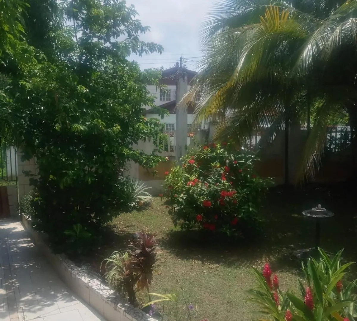 Homestay Mumatt'S Guesthouse Port Antonio Jamaica