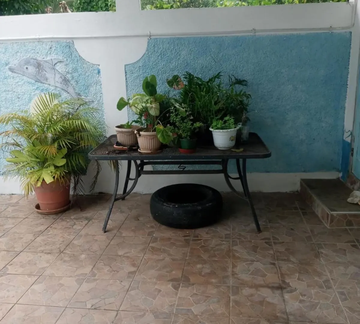 Mumatt'S Guesthouse Port Antonio 0*,