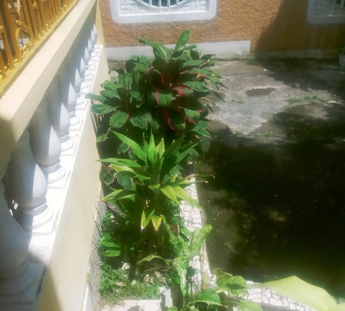 Homestay Mumatt'S Guesthouse Port Antonio