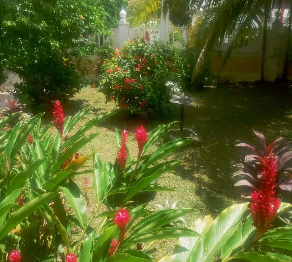 Homestay Mumatt'S Guesthouse Port Antonio